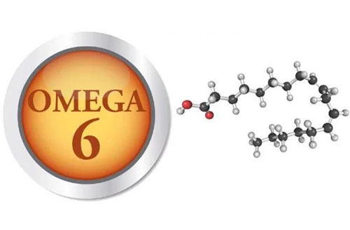 Omega 3, Omega 6 có vai trò như thế nào đối với sức khỏe? 3