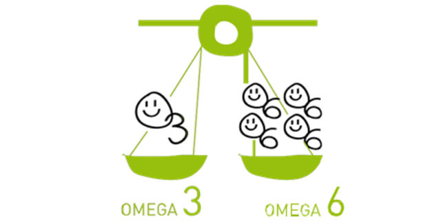 Tỷ lệ vàng Omega 6 – 3 là 4:1