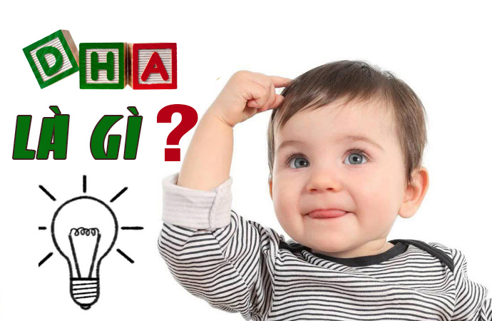 Điều cơ bản về DHA 1 Điều cơ bản về DHA 1
