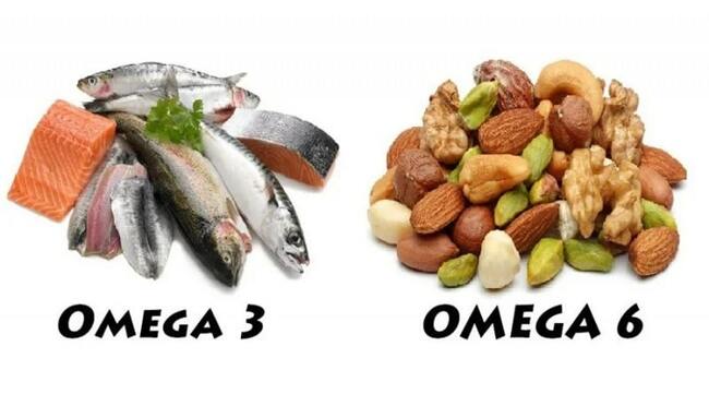 So sánh Omega thực vật và Omega động vật