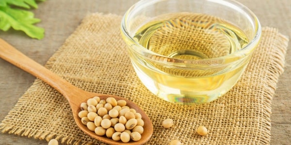 Dầu đậu nành 1 Đậu nành